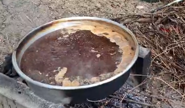 Gerze'de dut pekmezi mesaisi devam ediyor