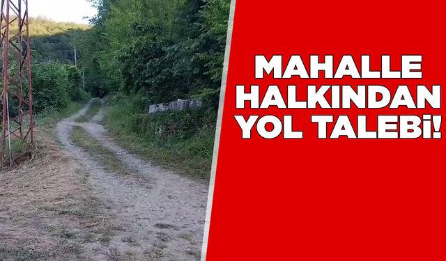 Mahallelinin yol talebi: “Kendi çabalarımızla onarmaya çalışıyoruz!”