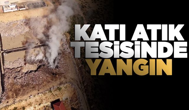 Gece başlayan yangın gündüz de devam etti!