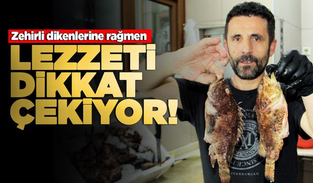 Temizlenmesi zor ama lezzetli balık tezgahta!