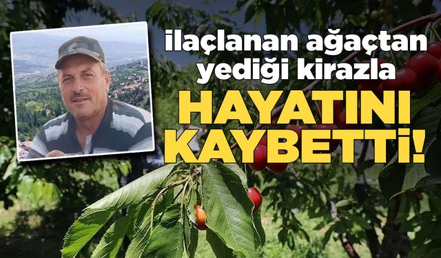 İlaçlanan ağaçtan kiraz  yedi, hayatını kaybetti!
