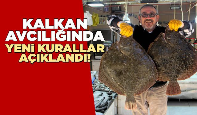 Kalkan avcılığında yeni kurallar ve kotalar açıklandı