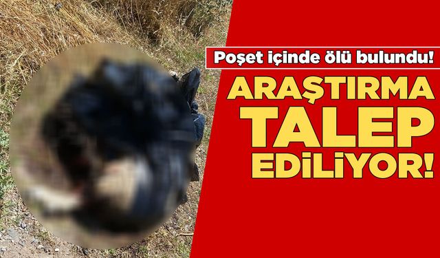 Sinop'ta şoke eden olaya araştırma isteniyor!
