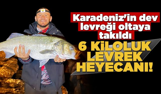 Gerze-Yakakent hattında dev levrek yakalandı