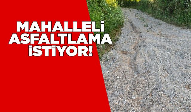 Osmaniye Mahallesi'nde bozuk yol tepkisi