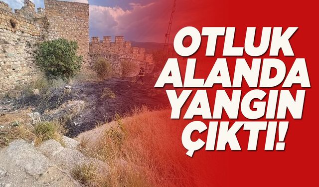 Tarihi kalede korkutan yangın!