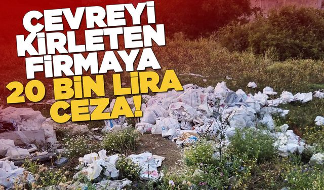 Gerze'de çevreyi kirleten firmaya ceza uygulandı