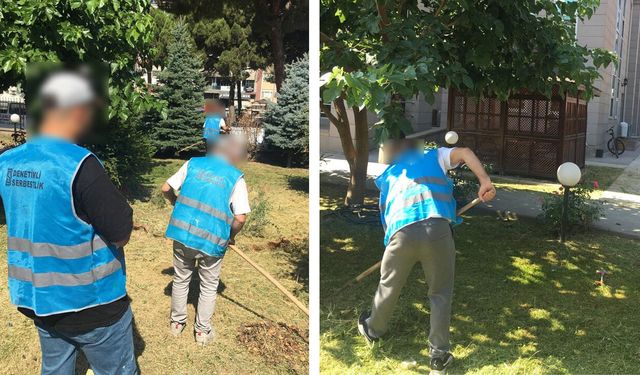 Denetimli serbestlik yükümlülerinden çevre düzenlemesi