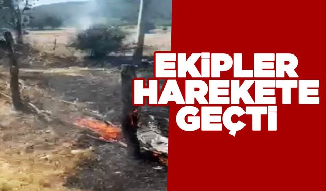 Örtü yangınına müdahale ediliyor!