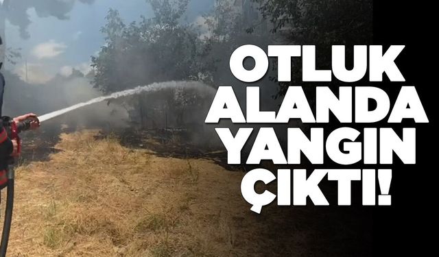 Orman kenarında çıkan yangın korku dolu anlar yaşattı