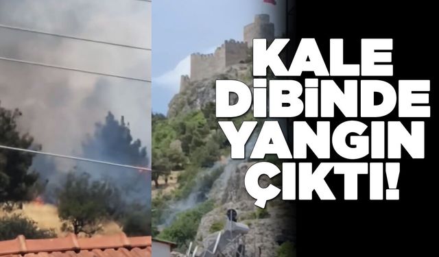 Kale eteğinde yangın paniği!