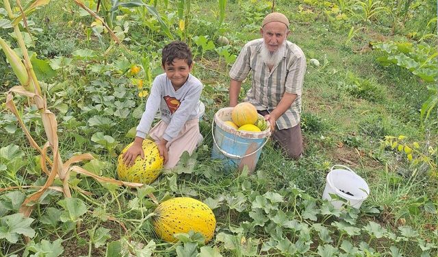 Küçük ölçekli üretimle büyük hasat aldı