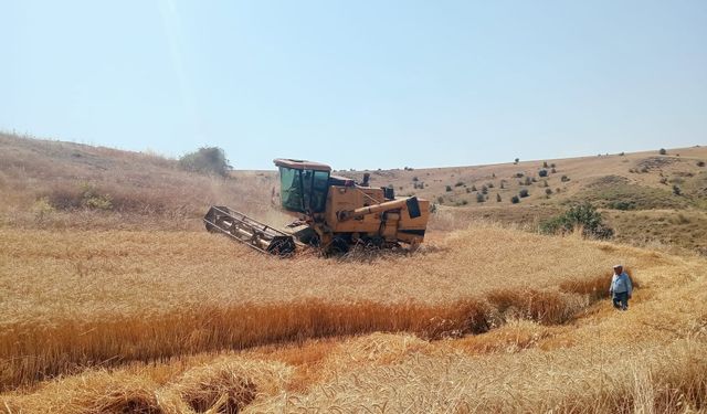 Biçerdöver denetimleri sürüyor