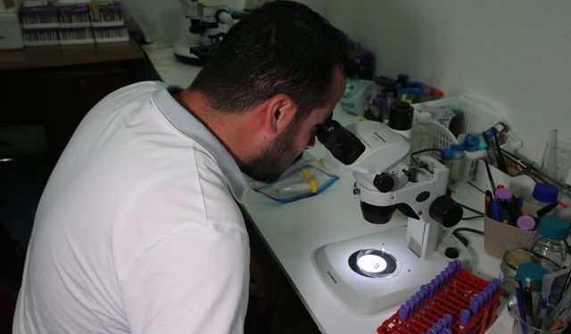 Kene kaynaklı hastalıklarda tek risk KKKA değil