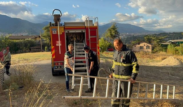 Kuyuya düşen sahipsiz köpek kurtarıldı