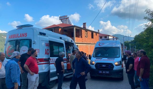 Ordu'da tarım aracının devrildiği kazada 3 kişi yaralandı