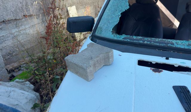 Park halindeki otomobilin camlarını kırdılar