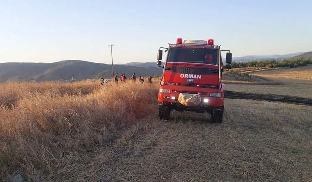 Anız yangınına hızlı müdahale