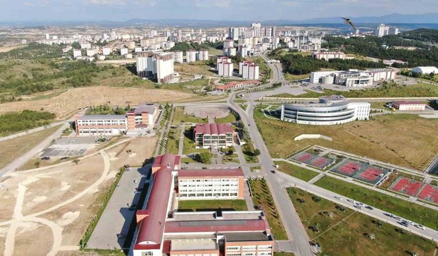 Bezelye kabuklarından biyokömür üretilecek