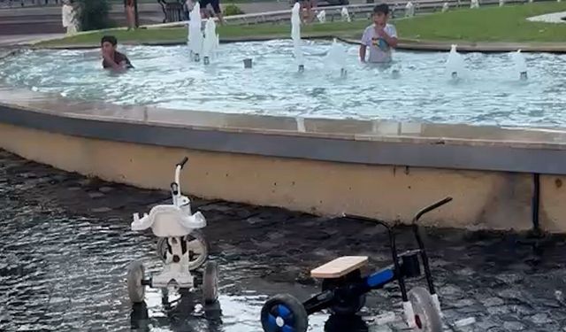 Elektrik akımına aldırış etmeden süs havuzunda yüzdüler