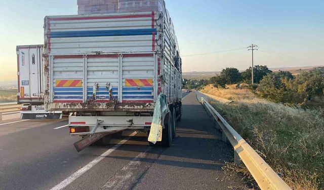 Kamyona çarpan kamyonetin sürücüsü hayatını kaybetti