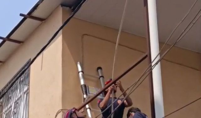 Tavana sıkışan güvercini itfaiye kurtardı