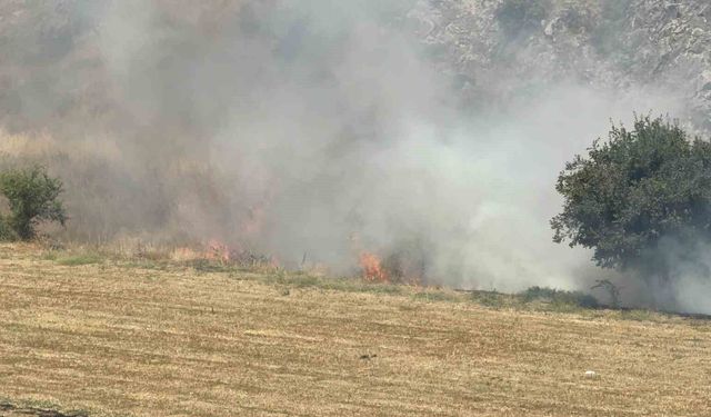 Tokat'ta otluk alandaki yangın söndürüldü