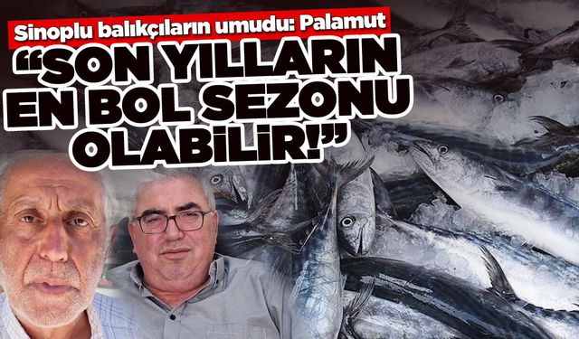 Sinoplu balıkçıların umudu: Palamut!