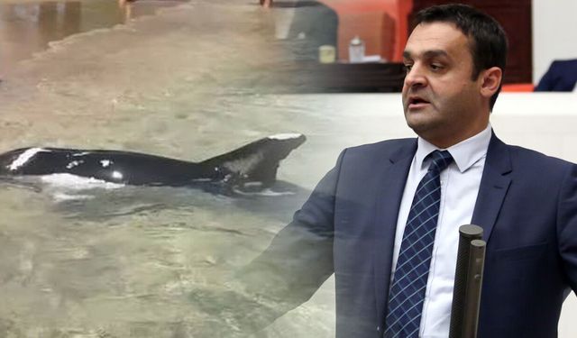 Karadeniz: "Sinop bir kez daha yüreğinin güzelliğini gösterdi"
