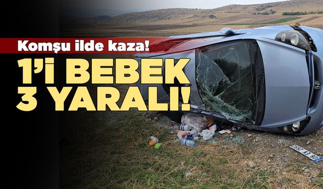 Otomobil şarampole devrildi: 1'i bebek 3 yaralı
