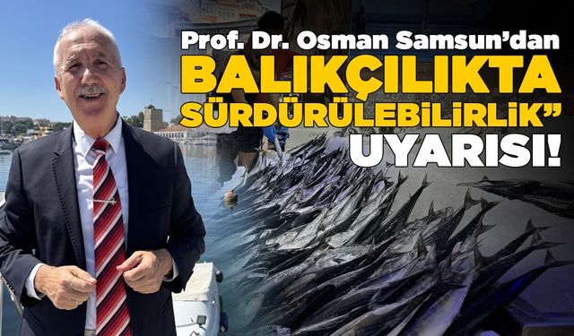Bilim insanından palamut için 'sürdürülebilirlik' uyarısı
