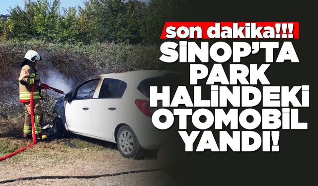 Sinop’ta park halindeki araç yandı