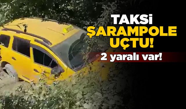 Taksi şarampole yuvarlandı: 2 yaralı