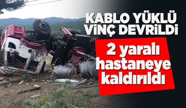 Kablo yüklü vinç devrildi: 2 yaralı!