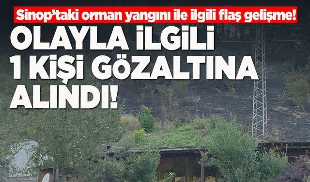 Sinop’taki orman yangınıyla ilgili 1 kişi gözaltına alındı