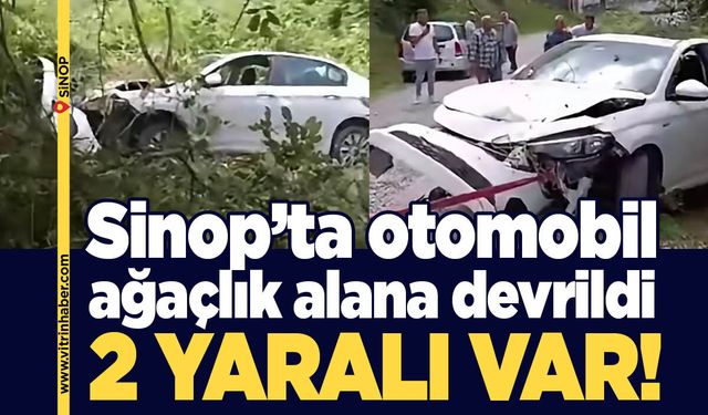 Kazada otomobil ağaçlık alana devrildi