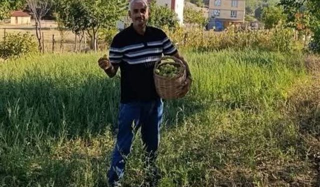 Ürünler dalda kaldı, o paylaşmayı seçti