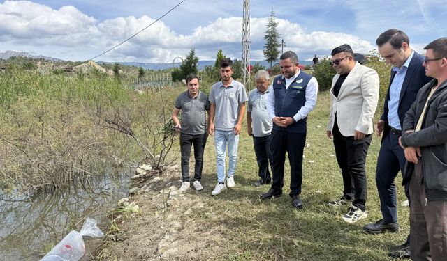 Sazan popülasyonu için 2 bin yavru salındı