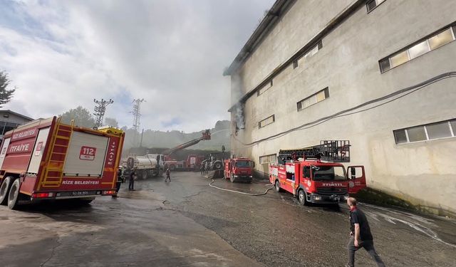 Çay fabrikasının deposunda yangın çıktı