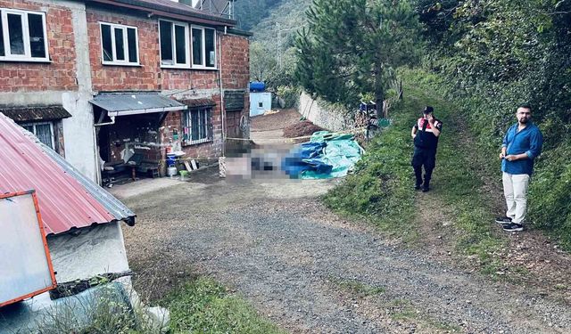 Kardeşler arasındaki arazi ve yol kavgası kanlı bitti