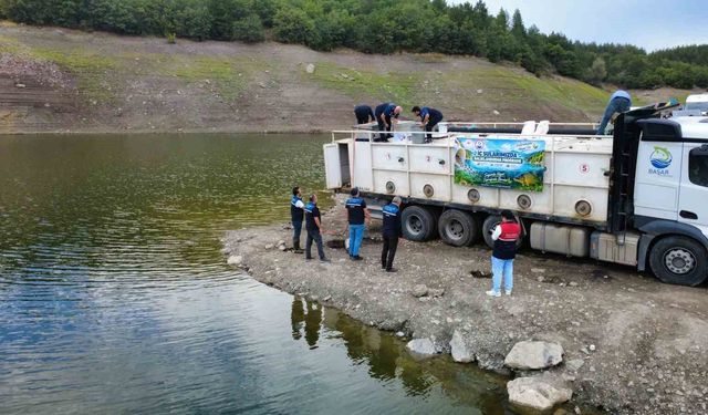 Kastamonu'da göletlere 800 bin yavru sazan salındı