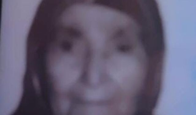 Kayıp Alzheimer hastası kadın bulundu