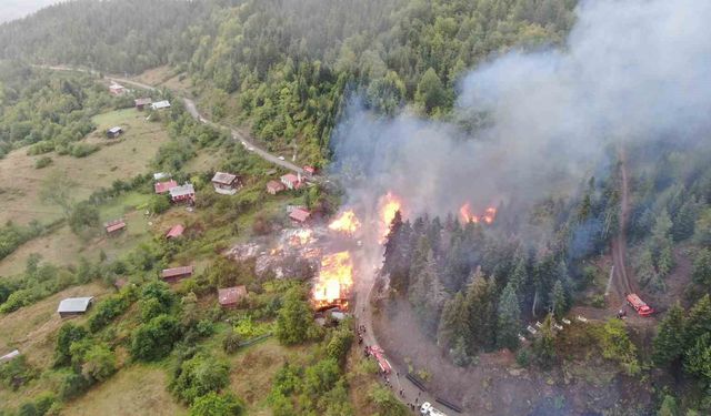 Köy yangında 9 ev küle döndü