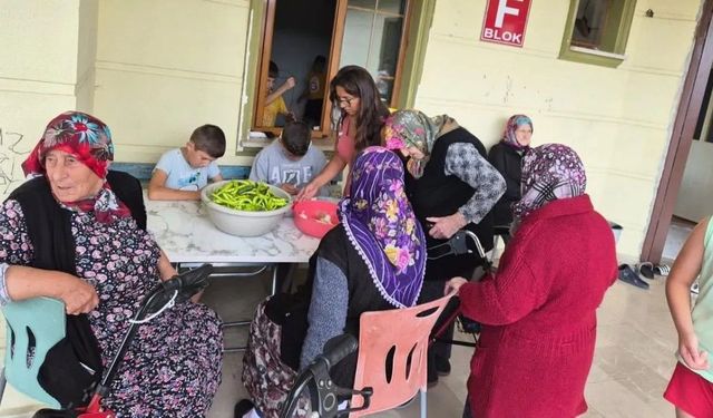 Sinop'ta çocuk ve yaşlılar birlikte turşu kurdu