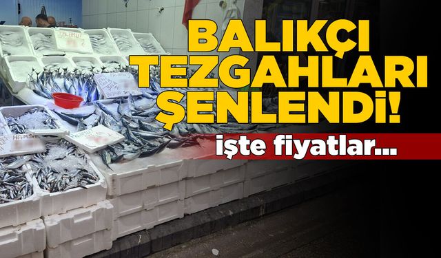 Sinop’ta balıkçı tezgahlarında bolluk var!