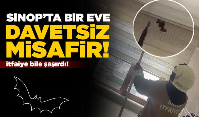 Eve giren davetsiz misafir itfaiyeyi teyakkuza geçirdi