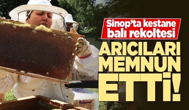 Coğrafi işaretli Sinop Kestane Balında bereketli sezon