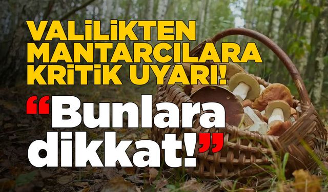 Sinop Valiliği mantar toplayanları uyardı!