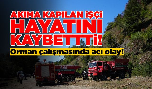 Elektrik akımına kapılan orman işçisi öldü