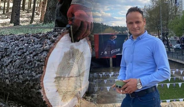 Üzerine ağaç devrilen adam can verdi